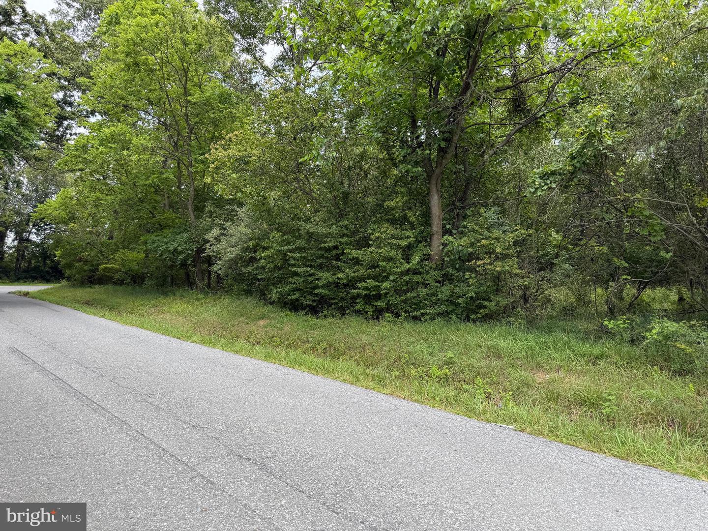 Tract 3: 2+/- Acres Id Van Metre Rd Property Photo 9