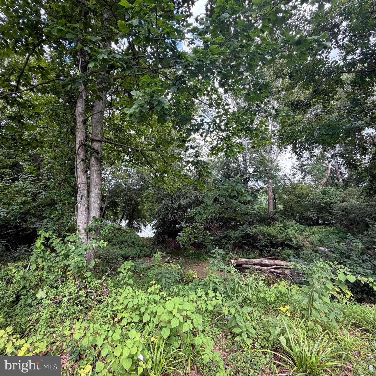 955 Stayman Dr Property Photo 66