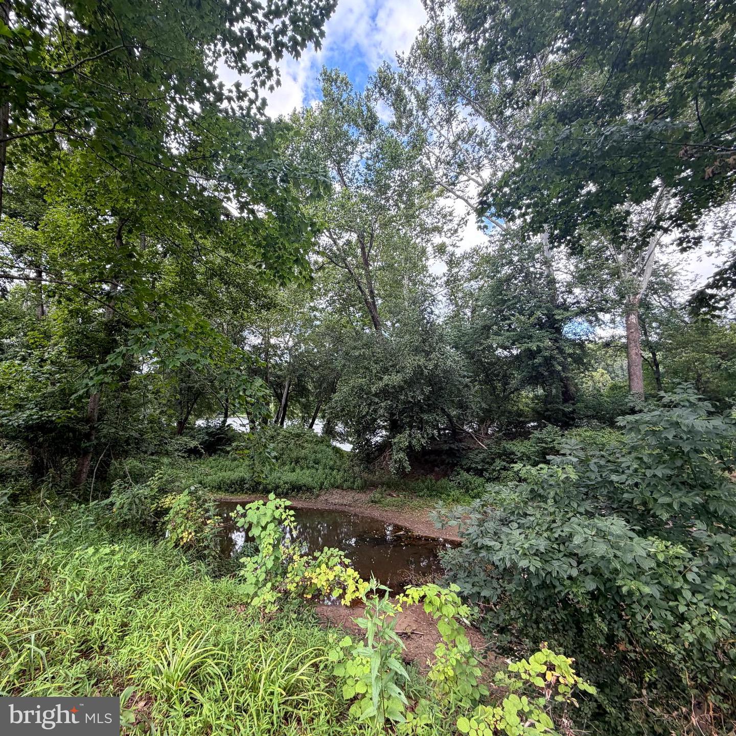 955 Stayman Dr Property Photo 69