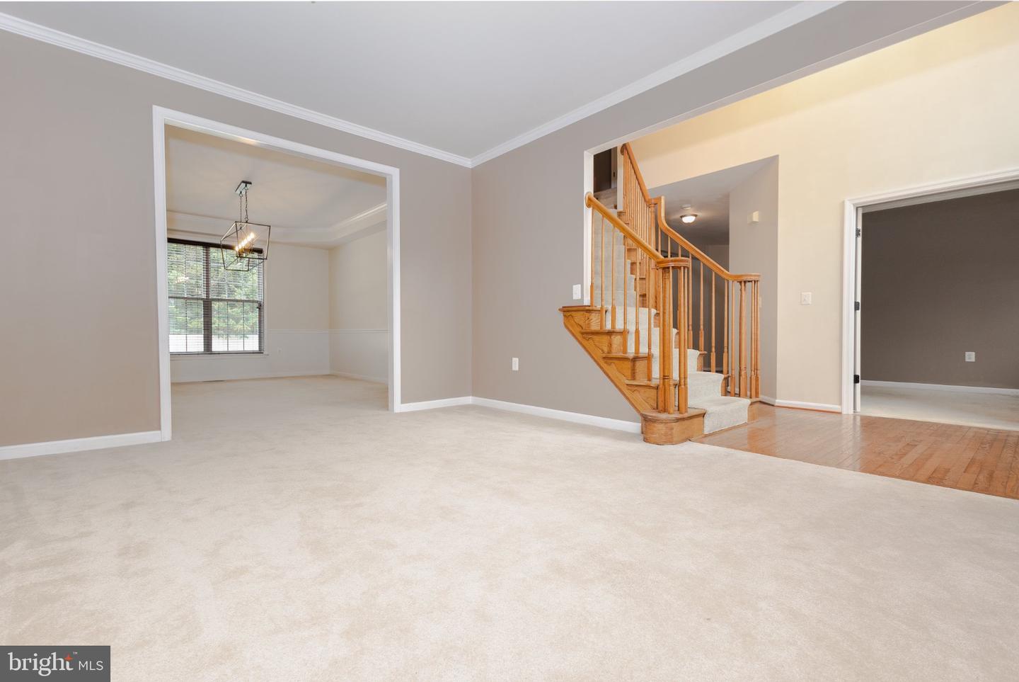 105 Ticonderoga Dr Property Photo 4