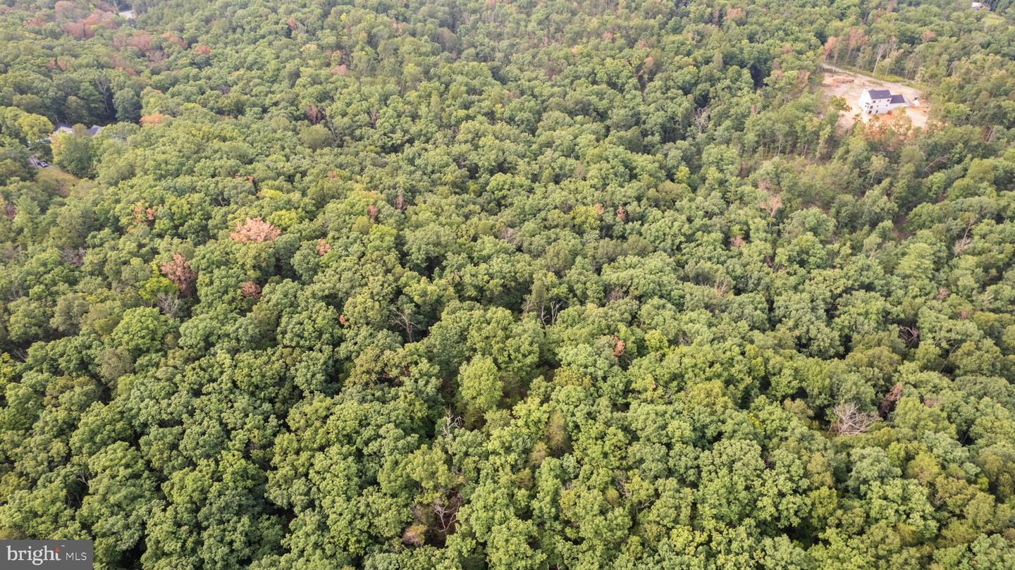 Wayward Dr Property Photo 3