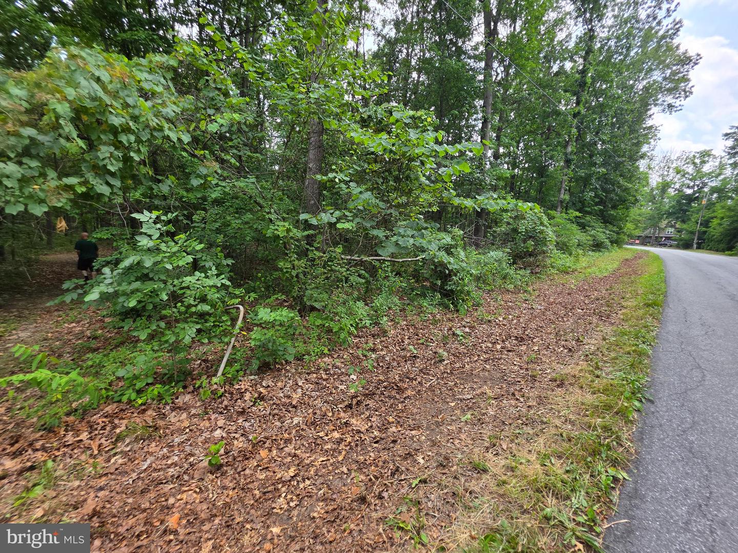 2.18 Acres On Getaway Road Property Photo 1