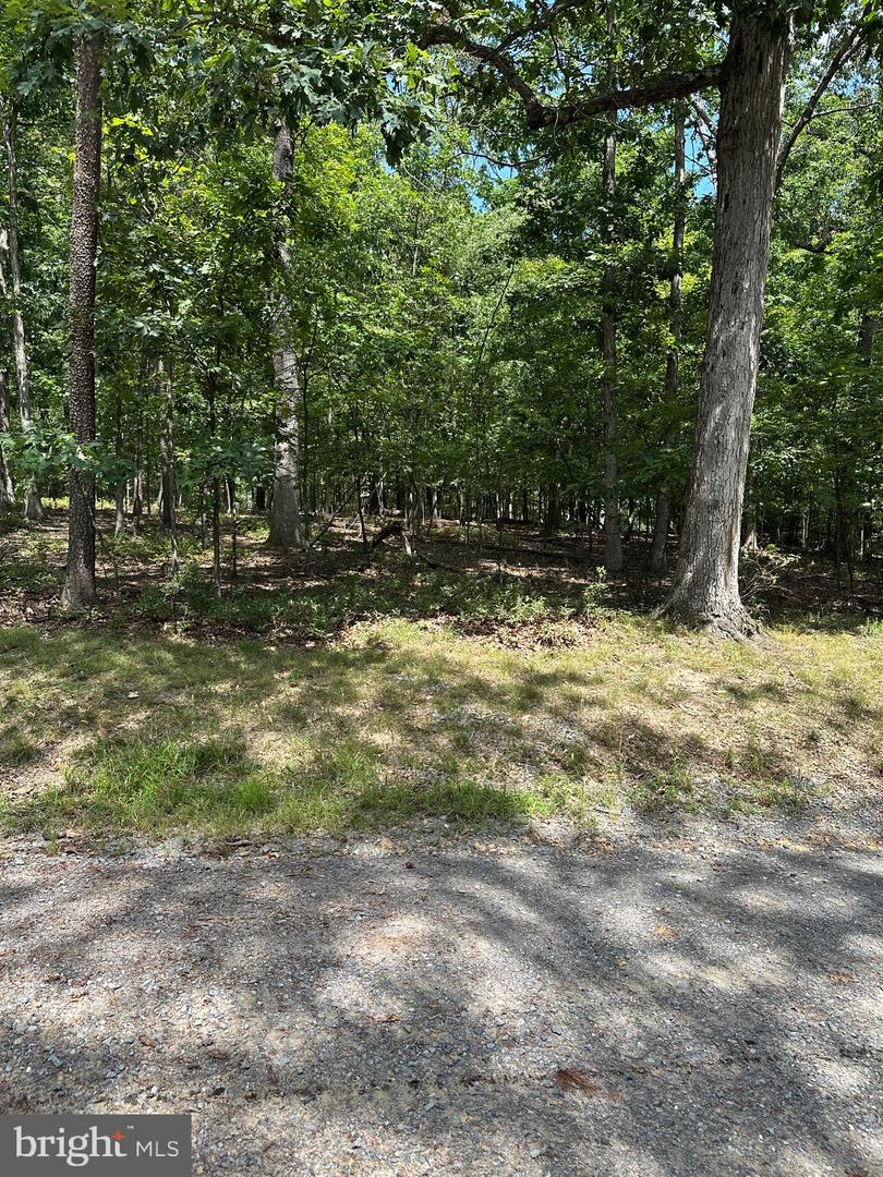 Lot 18b Lavender Ln Property Photo 2
