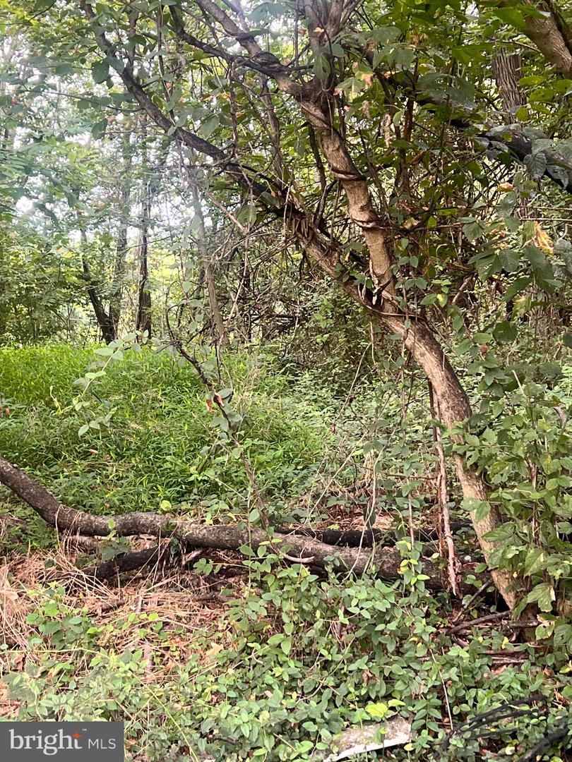 Lot 15 Nameless Way Property Photo 2