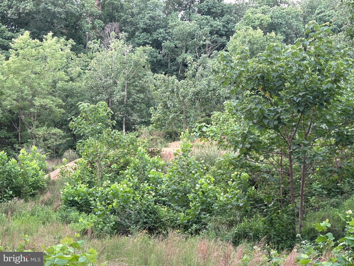 Basswood Drive Lot #9 Property Photo 10