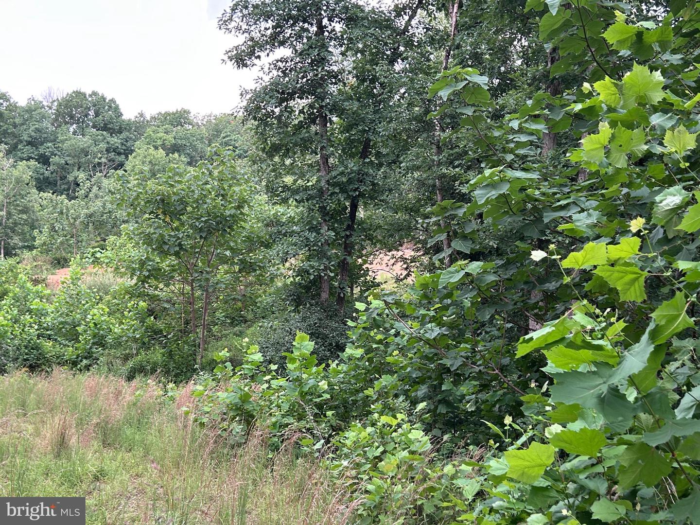 Basswood Drive Lot #9 Property Photo 11