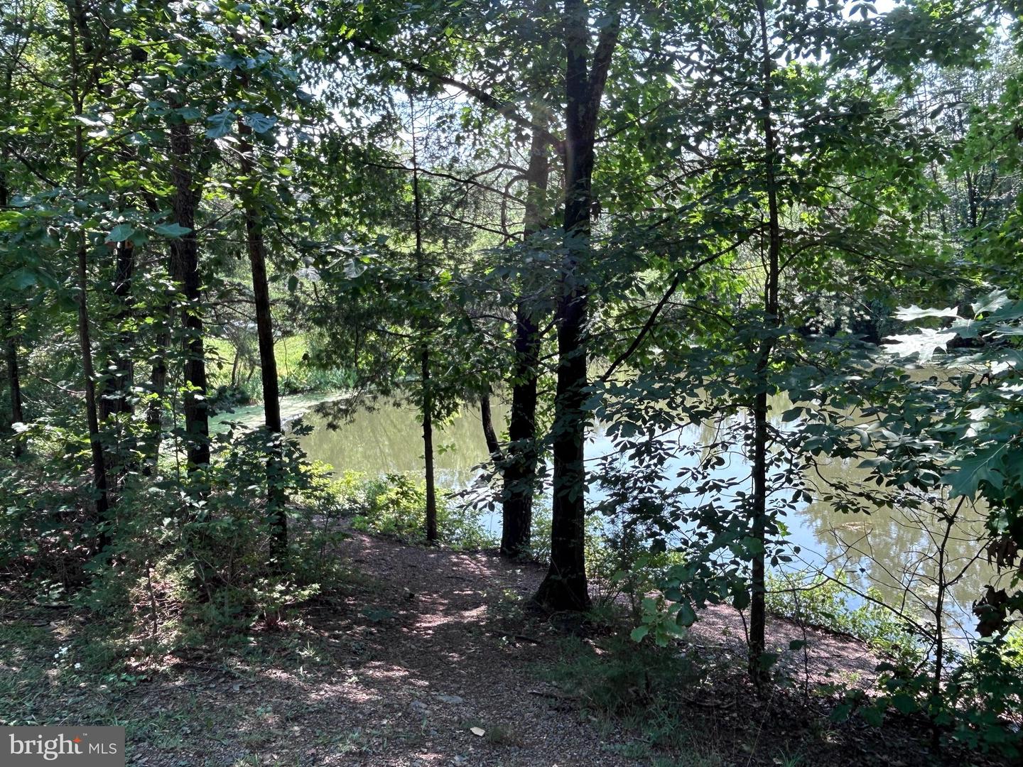 Basswood Drive Lot #9 Property Photo 19