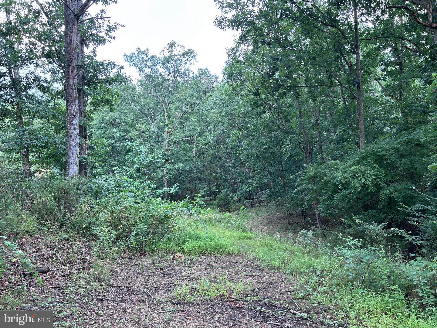 Basswood Drive Lot #9 Property Photo 20
