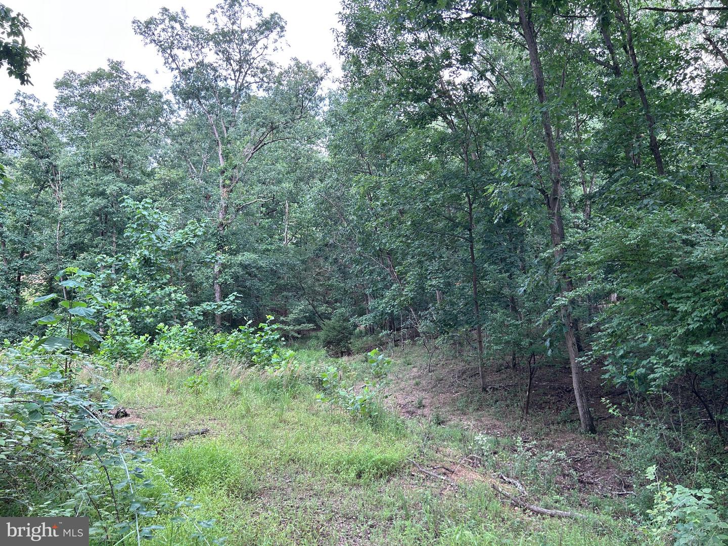 Basswood Drive Lot #9 Property Photo 21