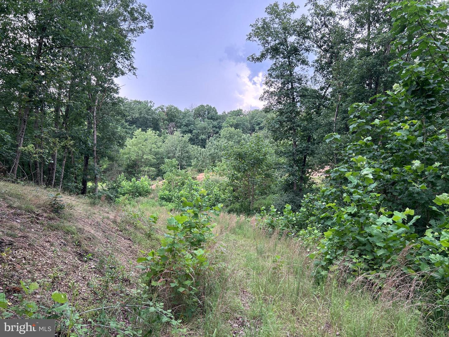 Basswood Drive Lot #9 Property Photo 23