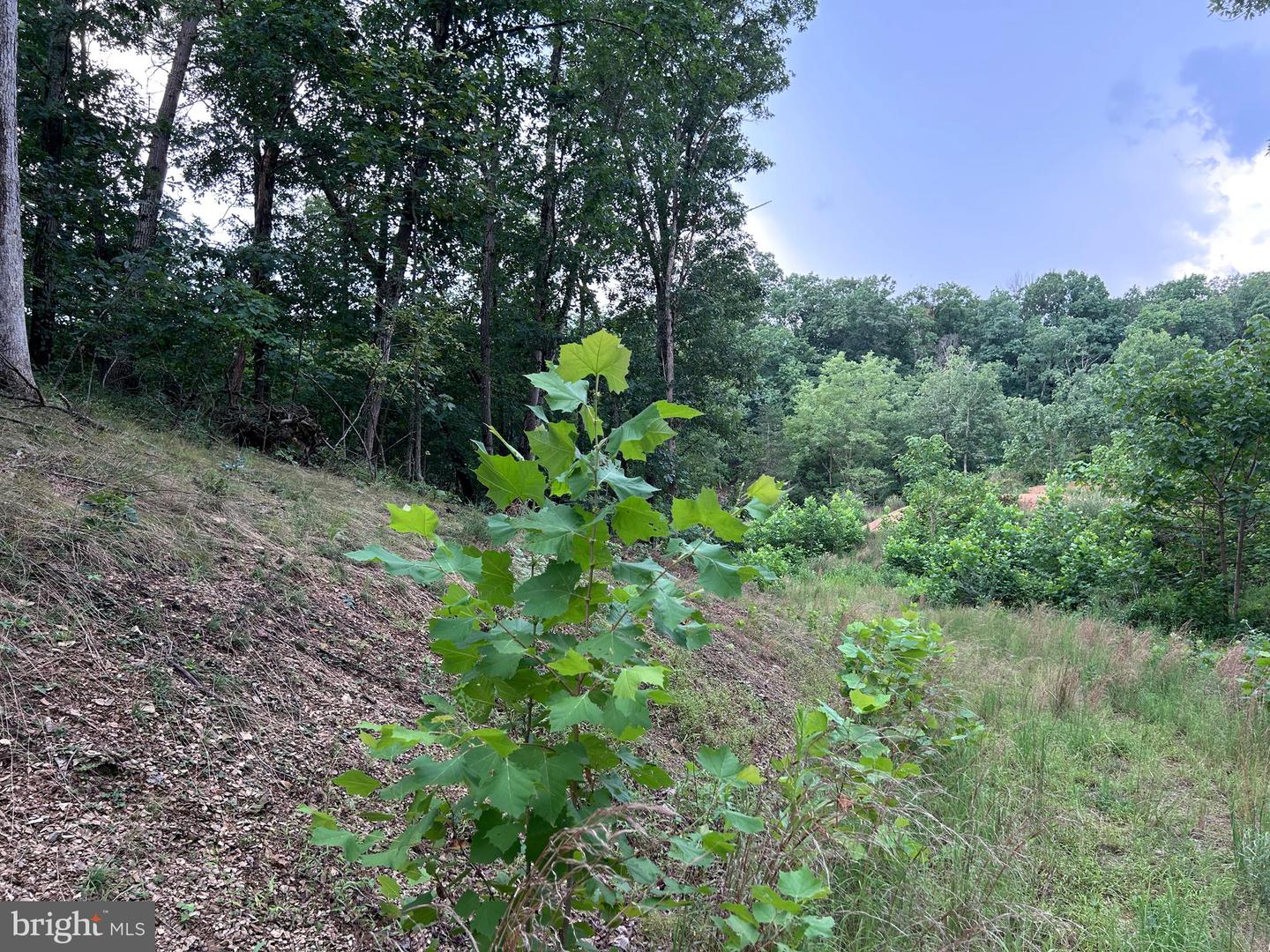 Basswood Drive Lot #9 Property Photo 24