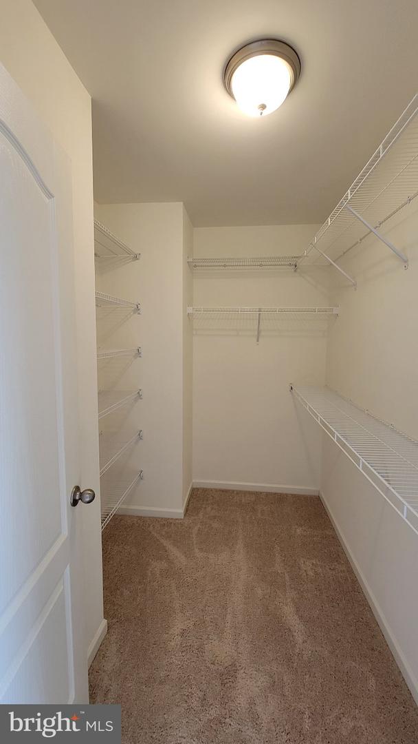 39 Stafford Pl Property Photo 24