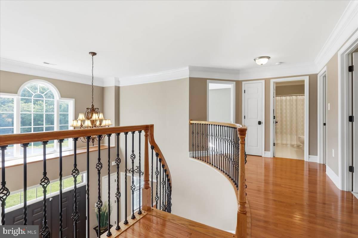 17 Rivanna Run Property Photo 26