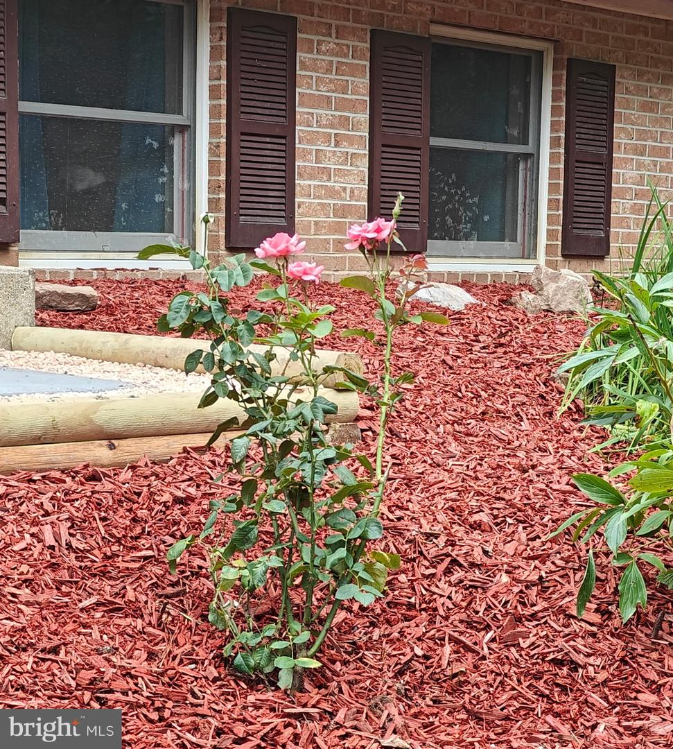 36 Snake Ln Property Photo 5