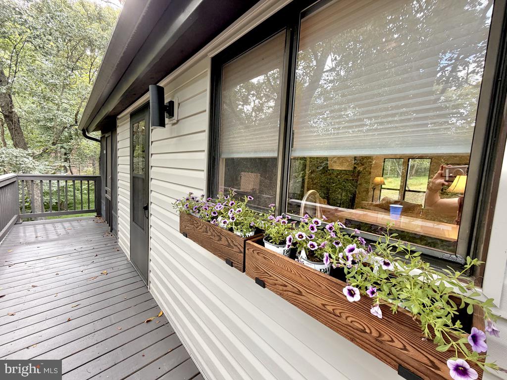 647 The Woods Rd Property Photo 1