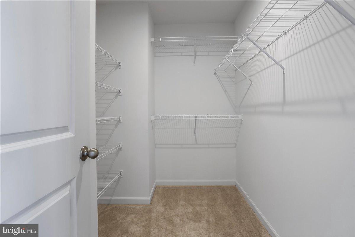 64 Stafford Pl Property Photo 14