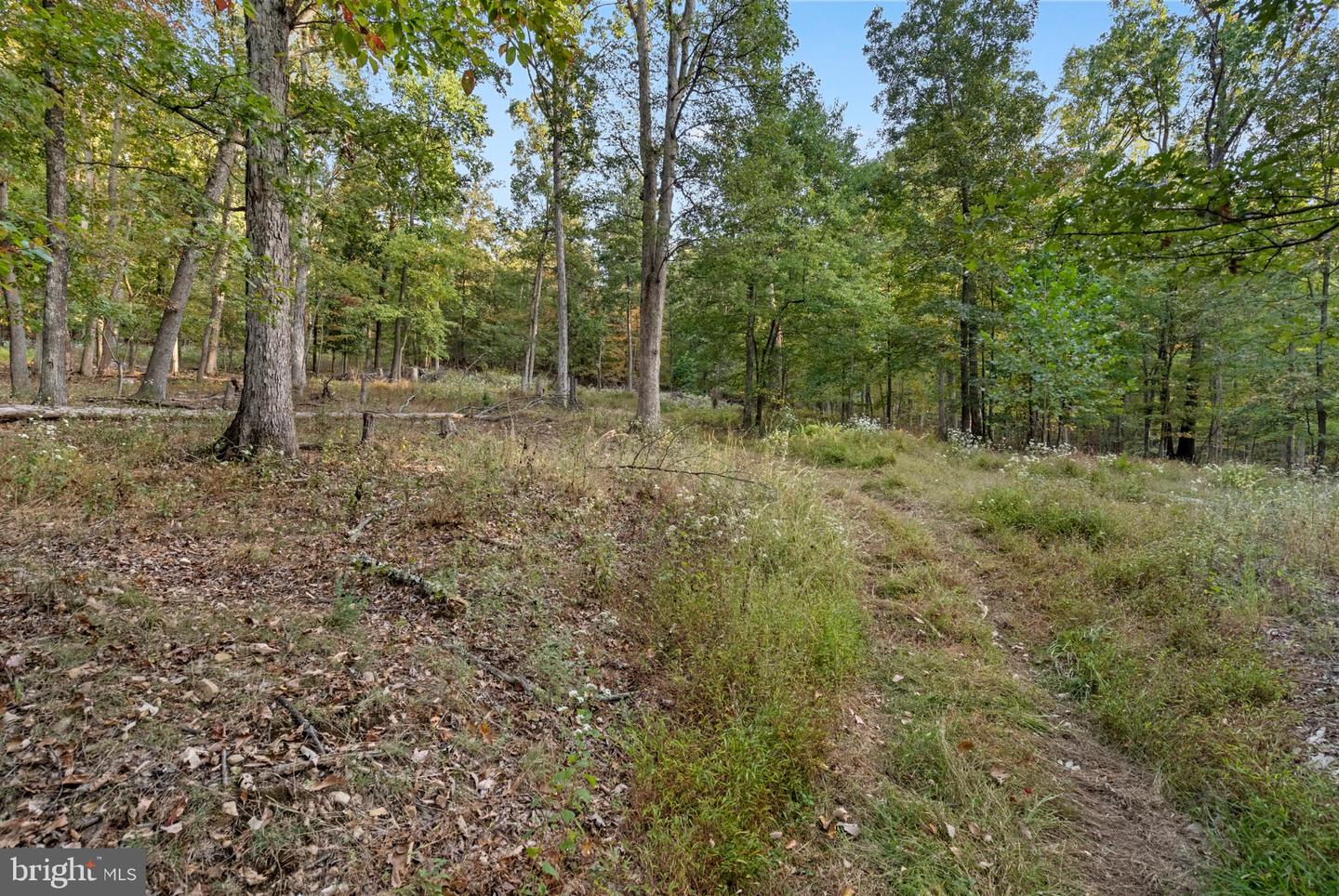 Driftwood Dr Property Photo 2
