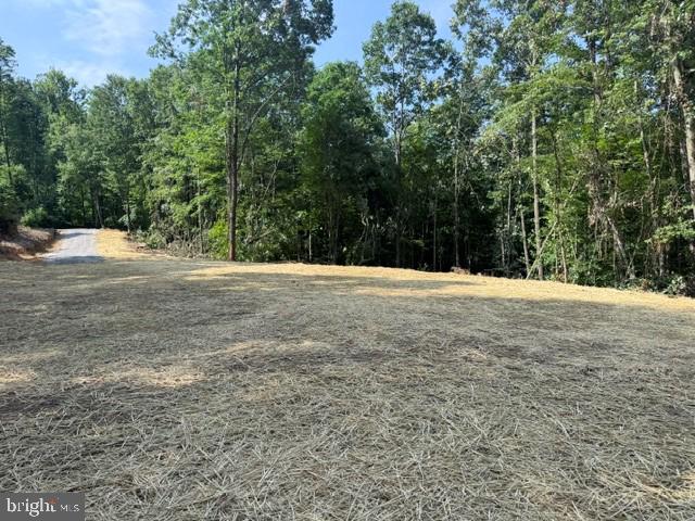 Tbd Locust Grove Rd Property Photo 2
