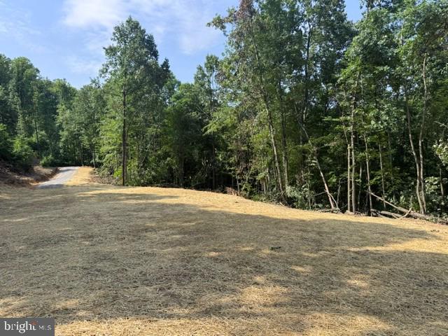 Tbd Locust Grove Rd Property Photo 3