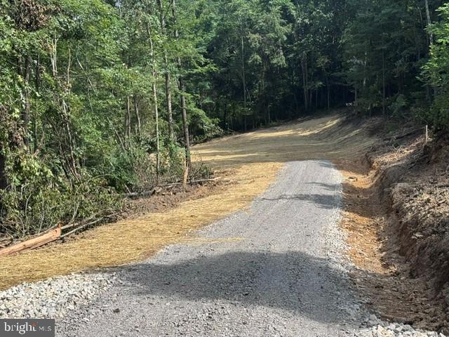 Tbd Locust Grove Rd Property Photo 5