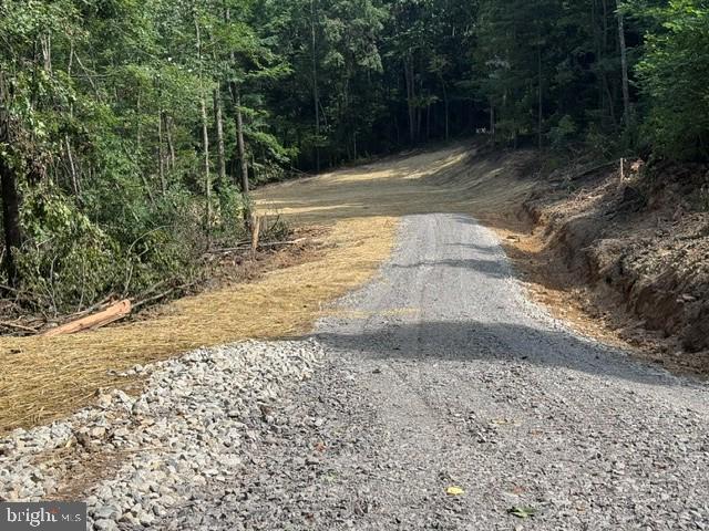 Tbd Locust Grove Rd Property Photo 6