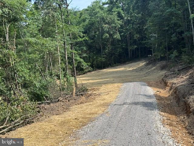 Tbd Locust Grove Rd Property Photo 8