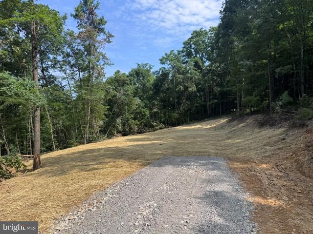 Tbd Locust Grove Rd Property Photo 12