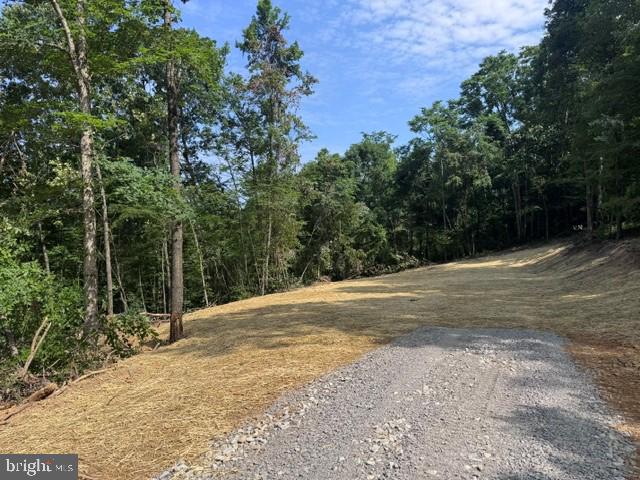 Tbd Locust Grove Rd Property Photo 13