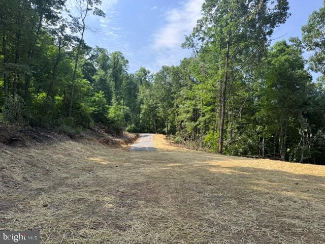 Tbd Locust Grove Rd Property Photo 18