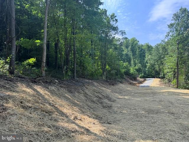 Tbd Locust Grove Rd Property Photo 19