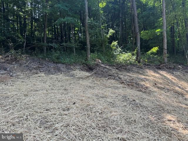 Tbd Locust Grove Rd Property Photo 20