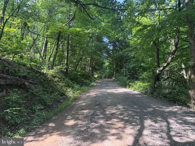 Tbd Locust Grove Rd Property Photo 22