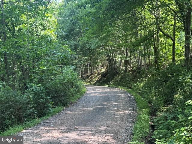 Tbd Locust Grove Rd Property Photo 23