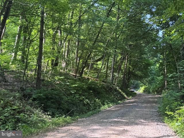 Tbd Locust Grove Rd Property Photo 24
