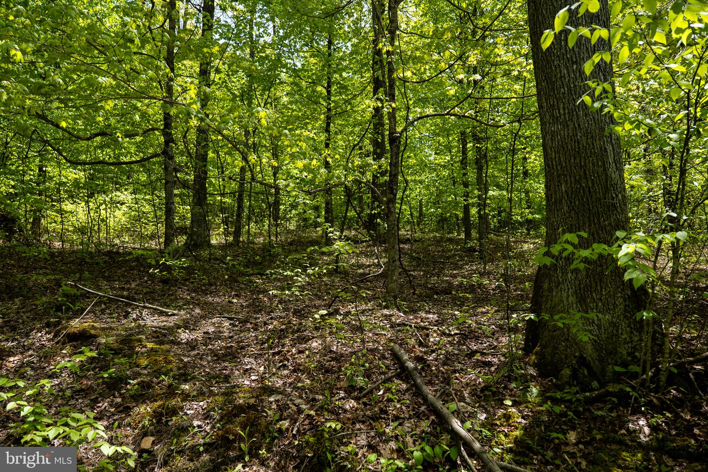 Lot 1 Laurel Mountain Rd Property Photo 1