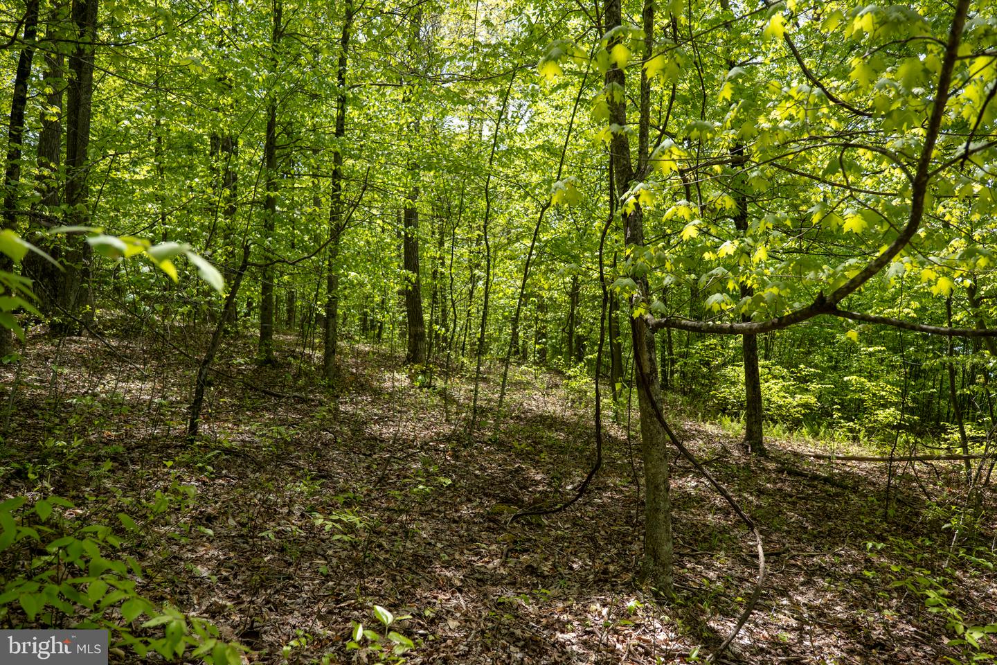 Lot 1 Laurel Mountain Rd Property Photo 2