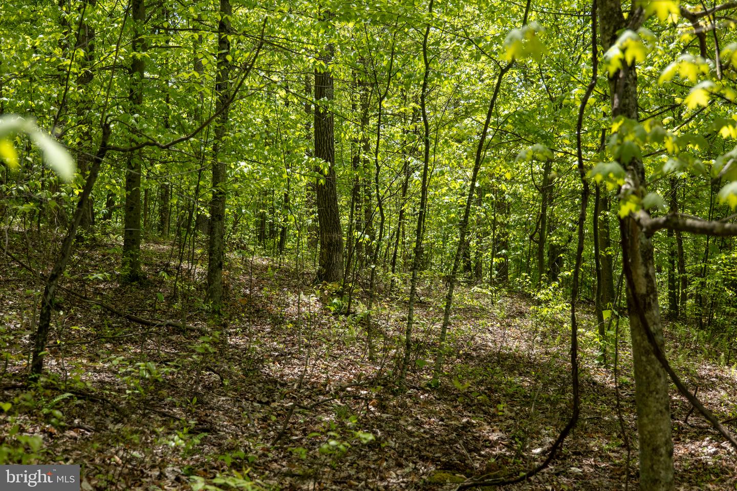 Lot 1 Laurel Mountain Rd Property Photo 3