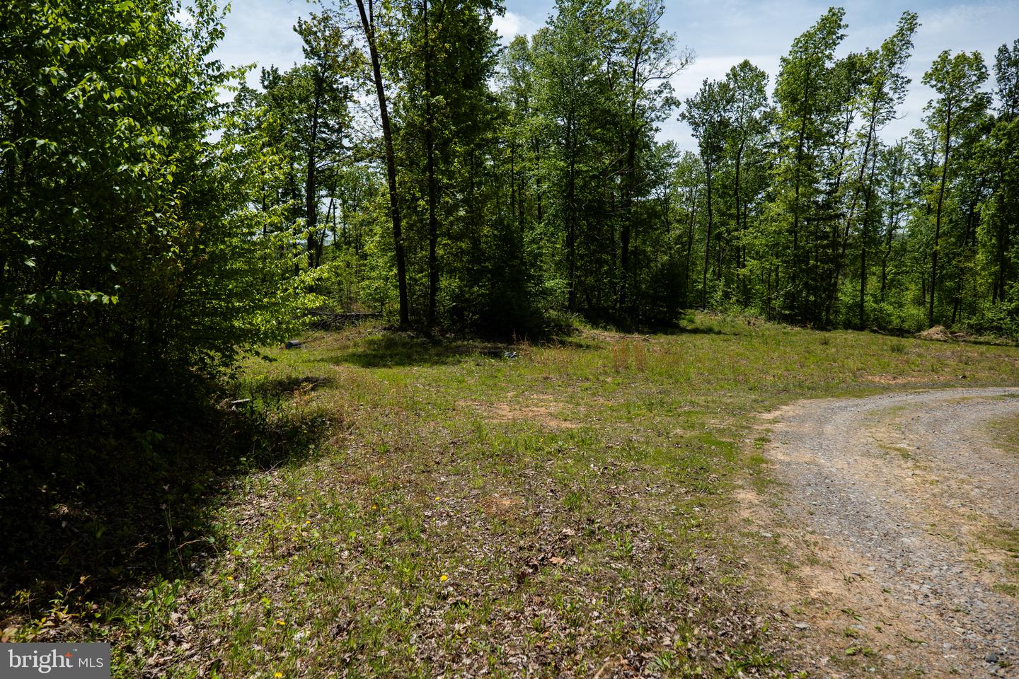 Lot 1 Laurel Mountain Rd Property Photo 5