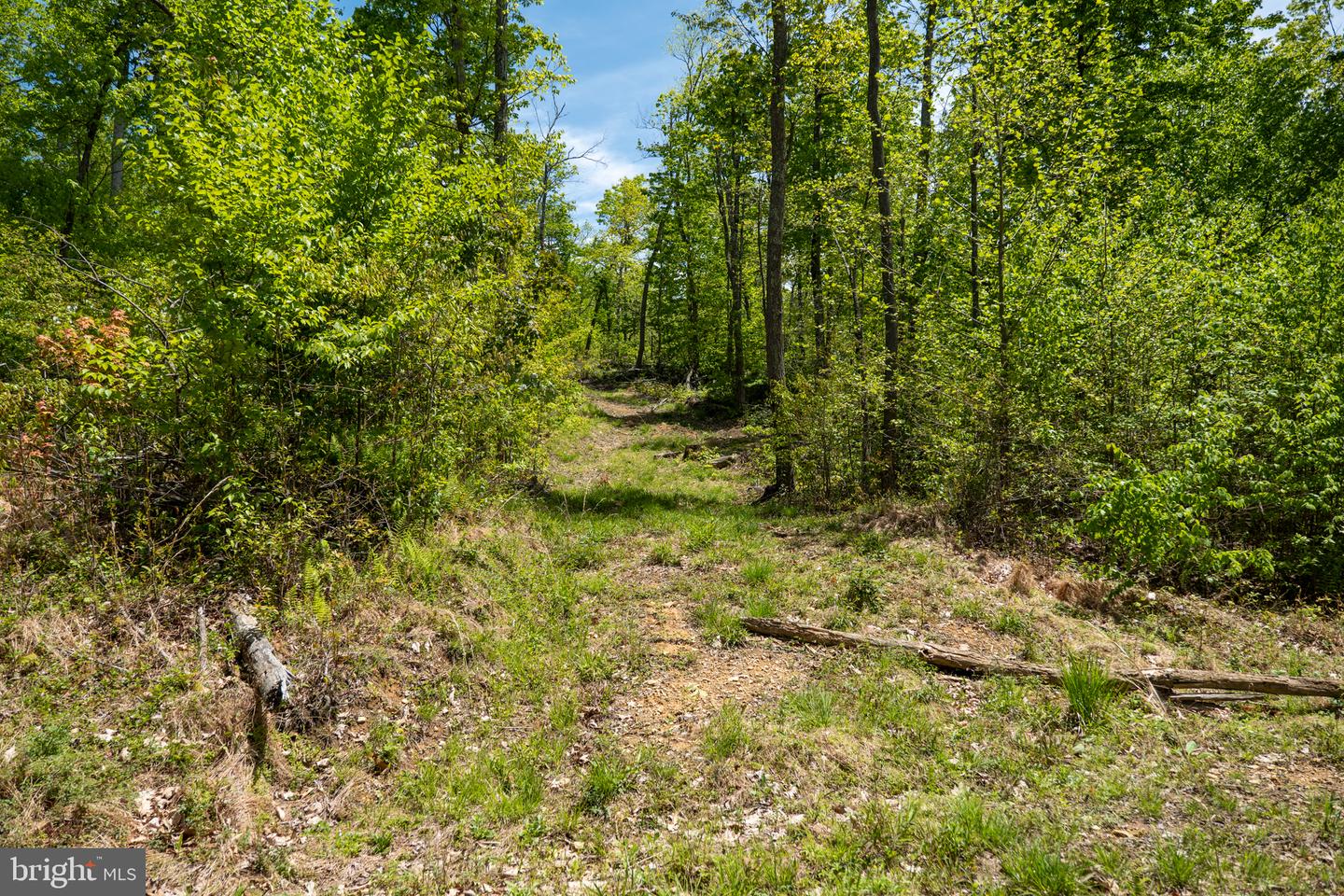 Lot 1 Laurel Mountain Rd Property Photo 8