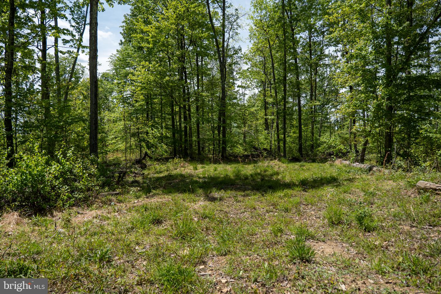 Lot 1 Laurel Mountain Rd Property Photo 9