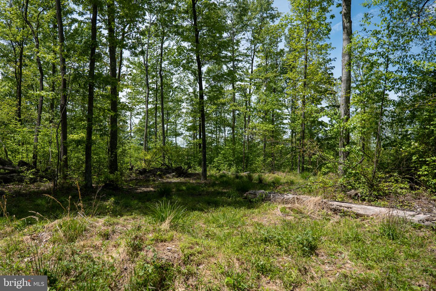 Lot 1 Laurel Mountain Rd Property Photo 10