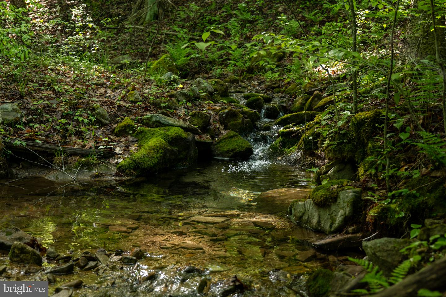 Lot 1 Laurel Mountain Rd Property Photo 18