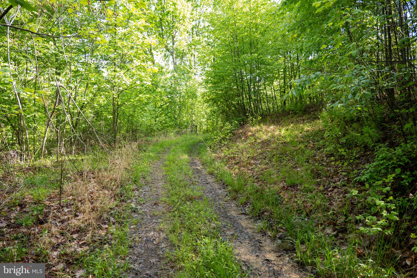 Lot 1 Laurel Mountain Rd Property Photo 20