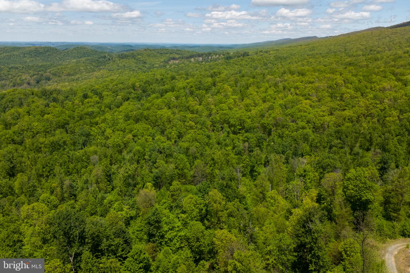 Lot 1 Laurel Mountain Rd Property Photo 22