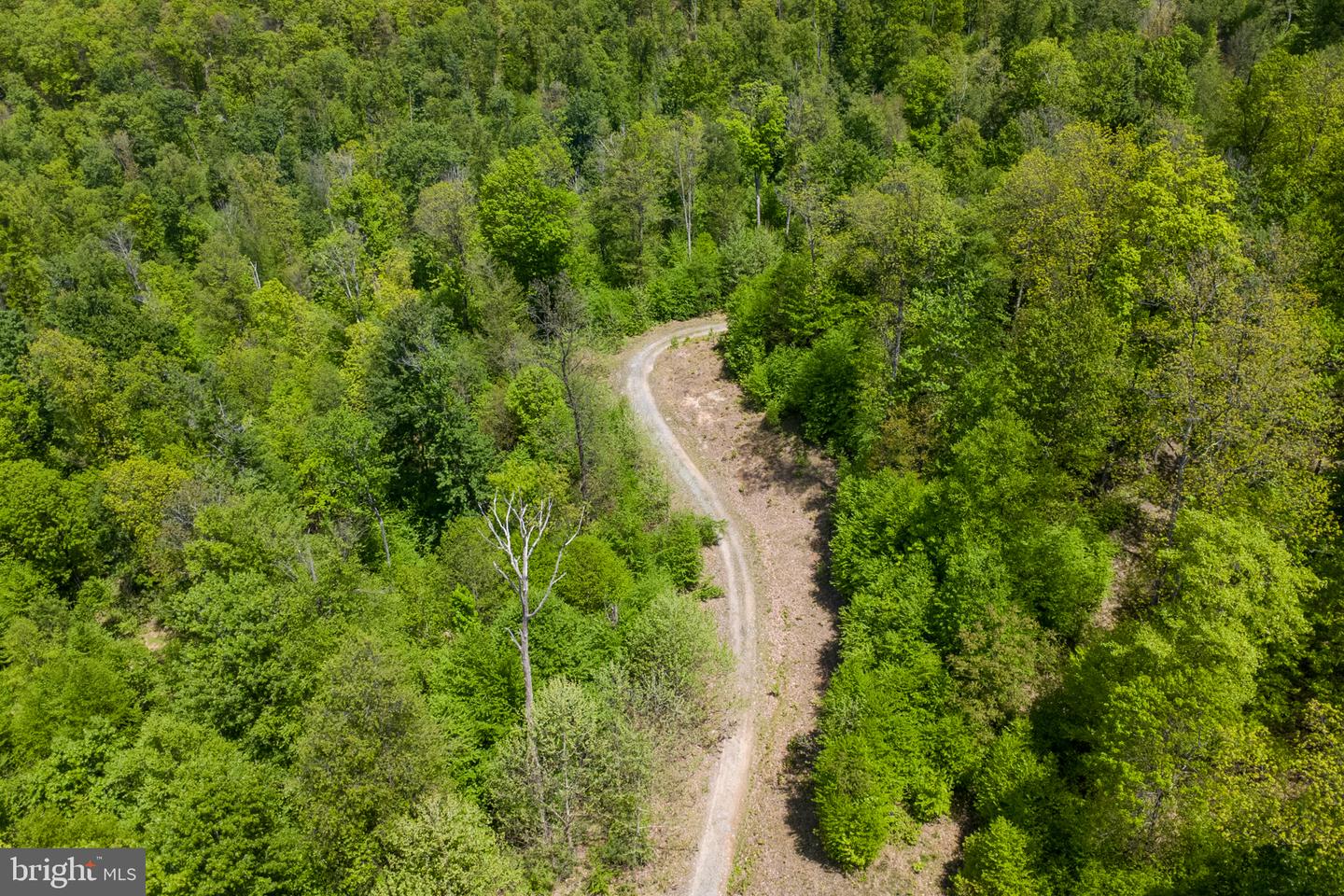 Lot 1 Laurel Mountain Rd Property Photo 23