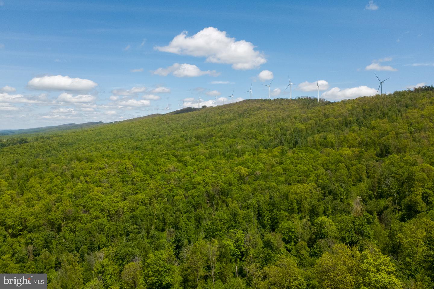 Lot 1 Laurel Mountain Rd Property Photo 24