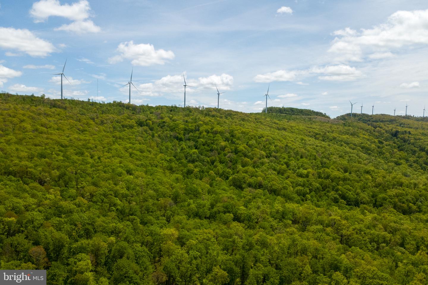Lot 1 Laurel Mountain Rd Property Photo 28