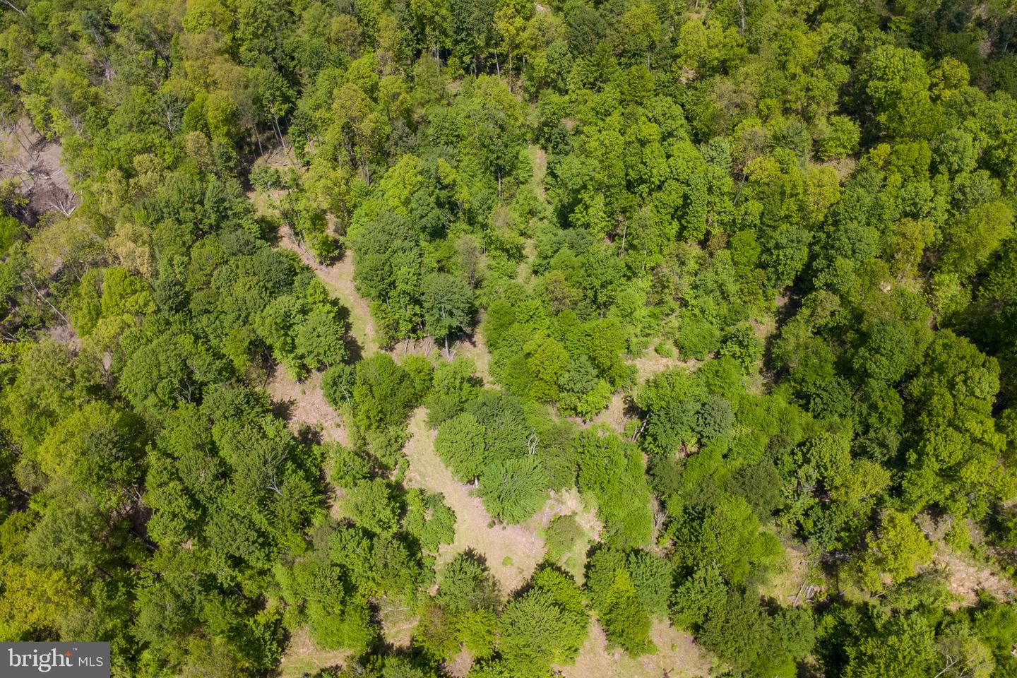 Lot 1 Laurel Mountain Rd Property Photo 33