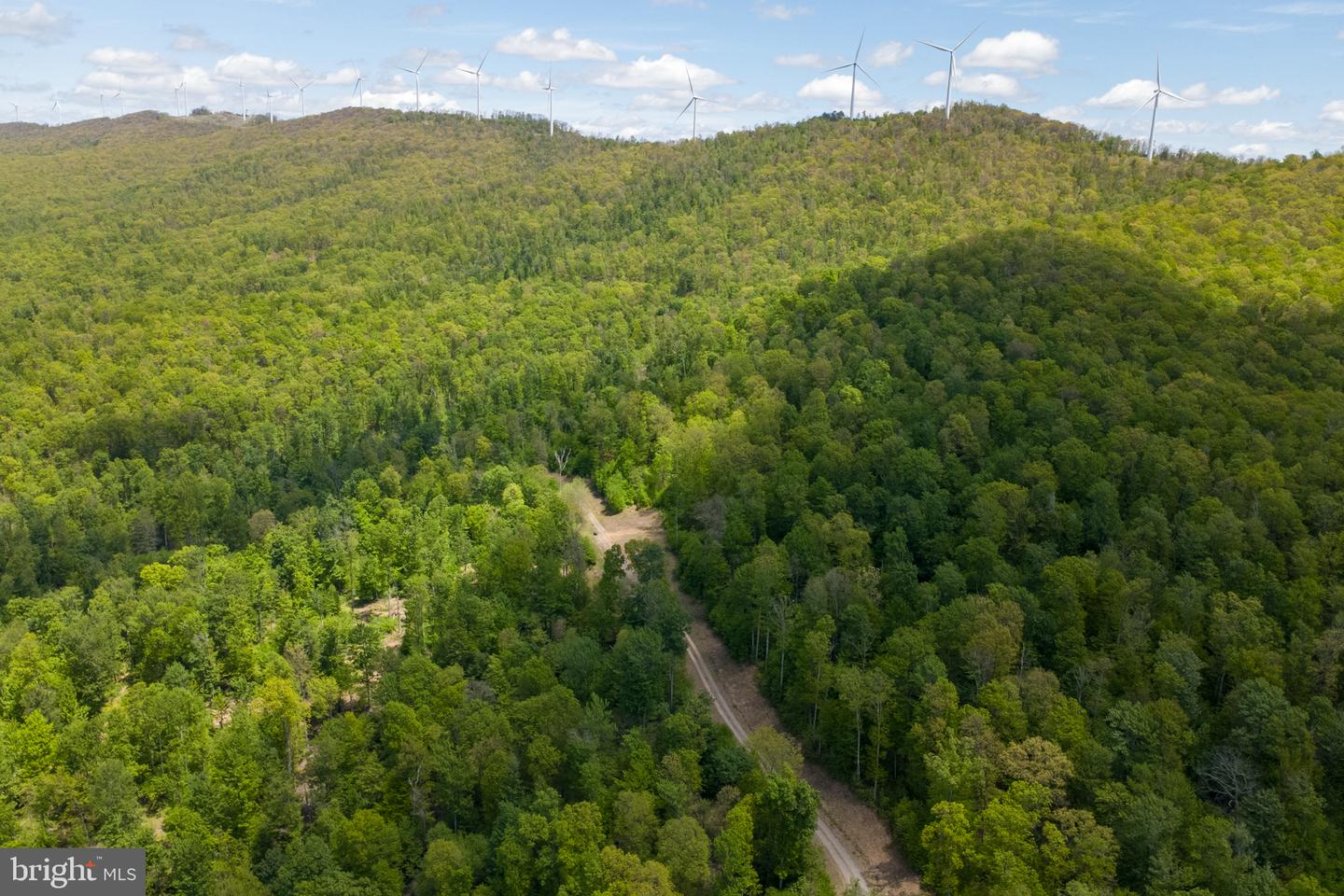 Lot 1 Laurel Mountain Rd Property Photo 34