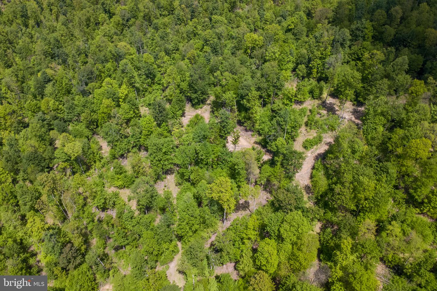 Lot 1 Laurel Mountain Rd Property Photo 37